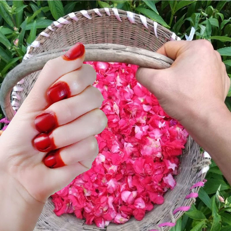 Nail Art Natural - Erkekler ve Kadınlar İçin 40g Kına